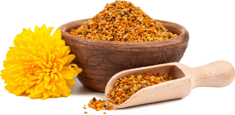 Bee Pollen Extract Weight Management SEO