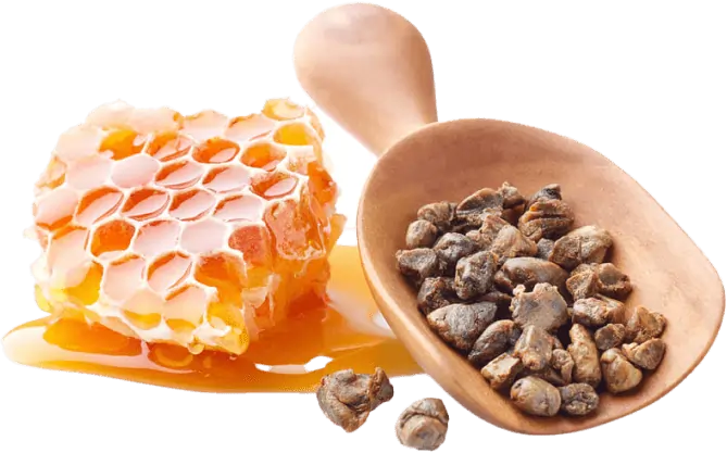 Propolis Natural Immunity Support SEO