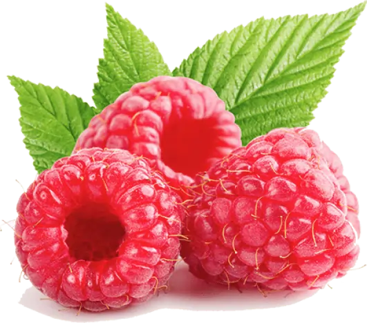 Wild Raspberry Antioxidants SEO