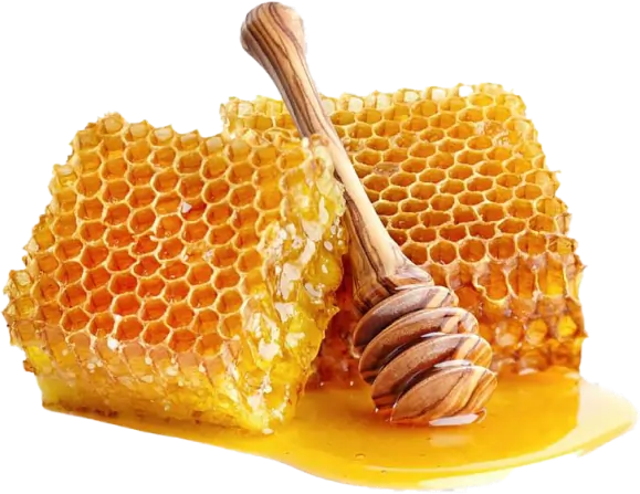 Raw Wildflower Honey For Metabolism SEO